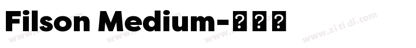Filson Medium字体转换